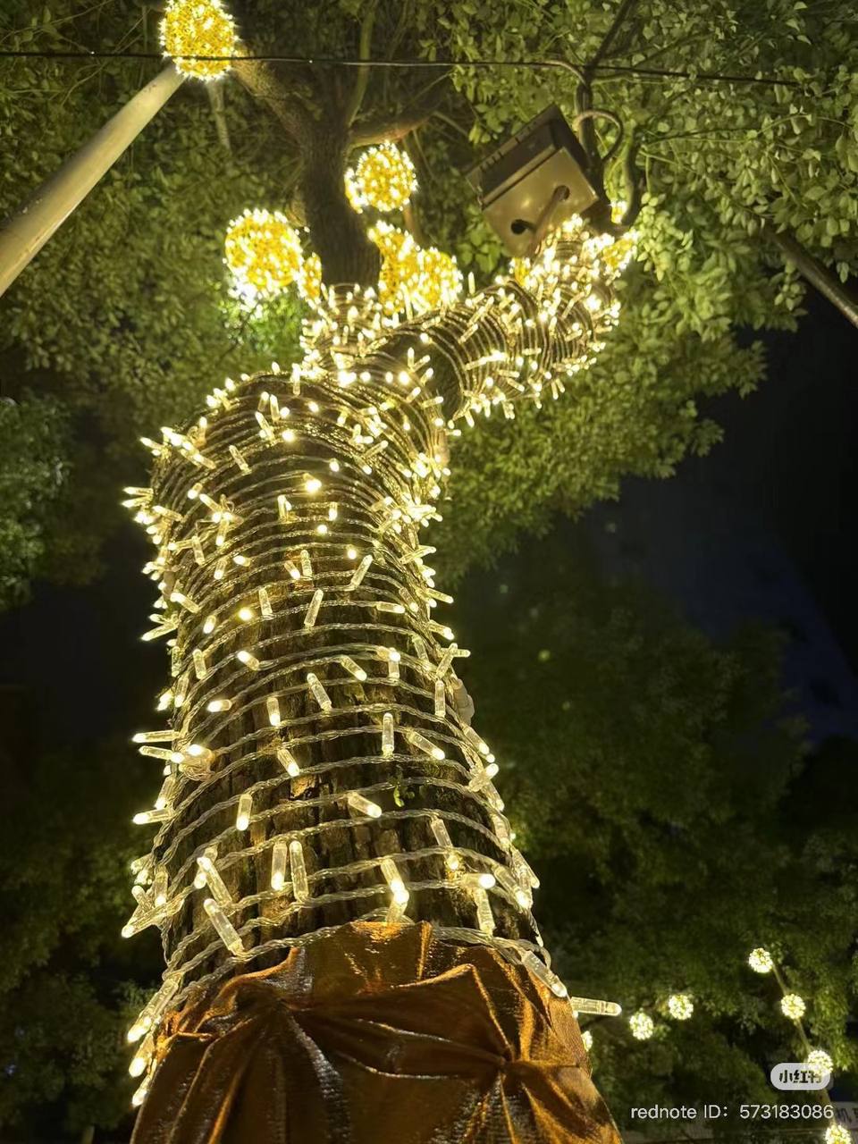 Guirlande lumineuse LED extérieure étanche