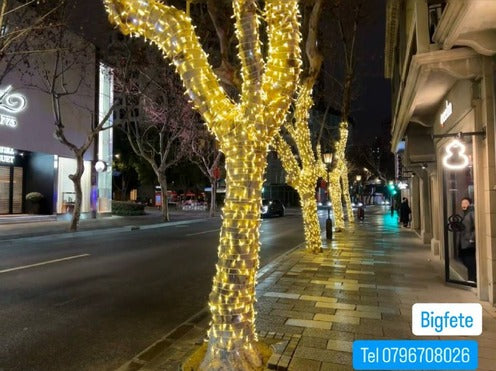 Guirlande lumineuse LED extérieure étanche