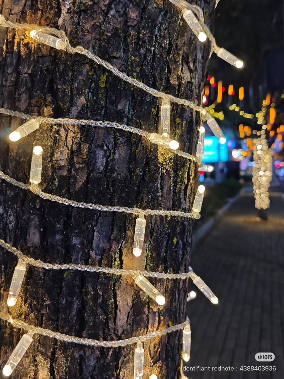 Guirlande lumineuse LED extérieure étanche