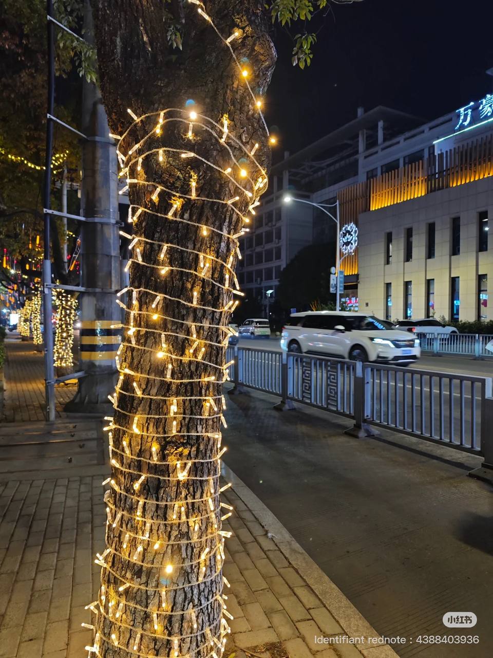 Guirlande lumineuse LED extérieure étanche