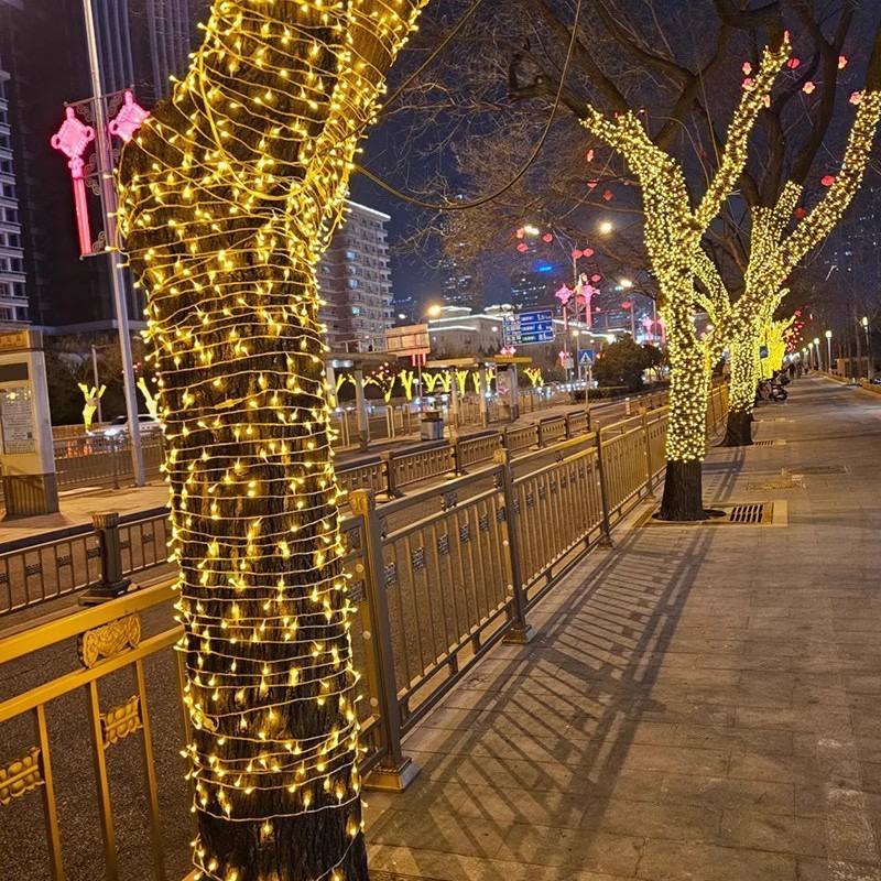 Guirlande lumineuse LED extérieure étanche