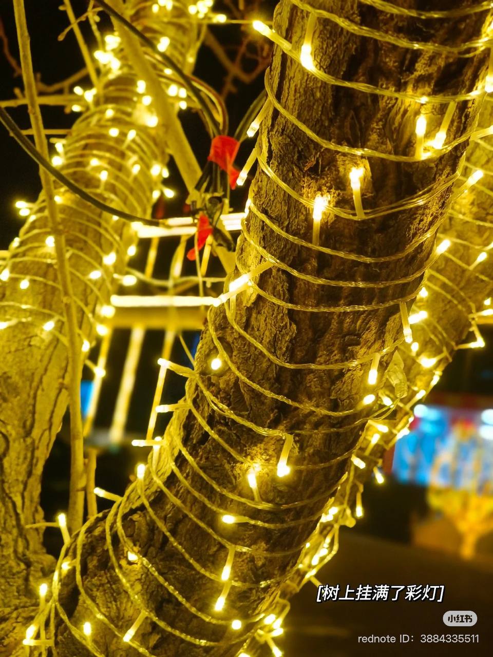 Guirlande lumineuse LED extérieure étanche