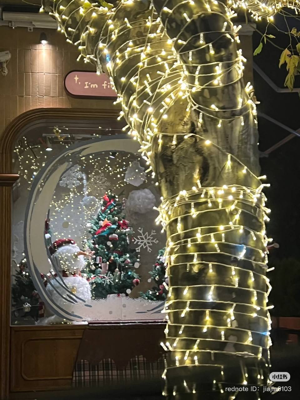 Guirlande lumineuse LED extérieure étanche