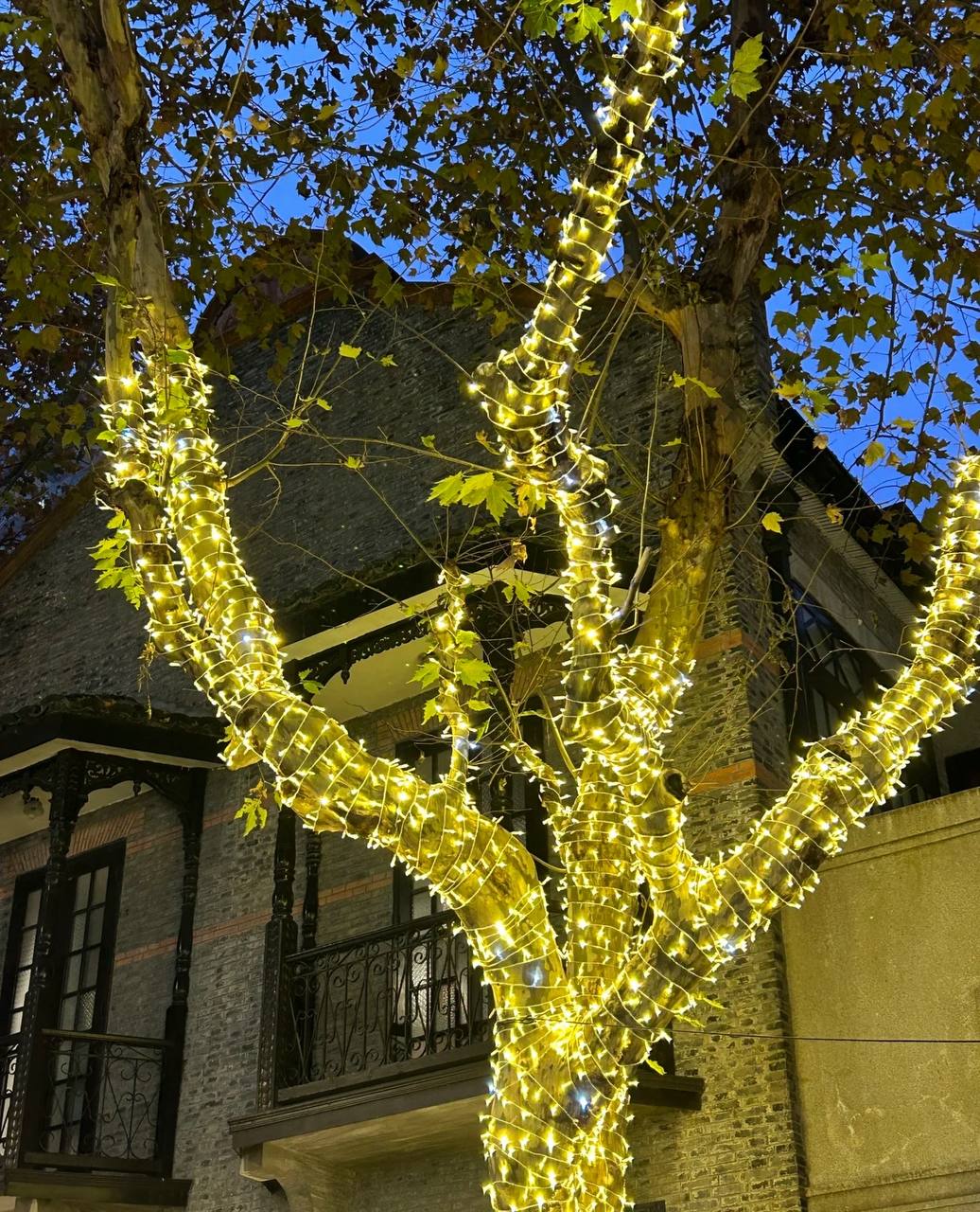 Guirlande lumineuse LED extérieure étanche