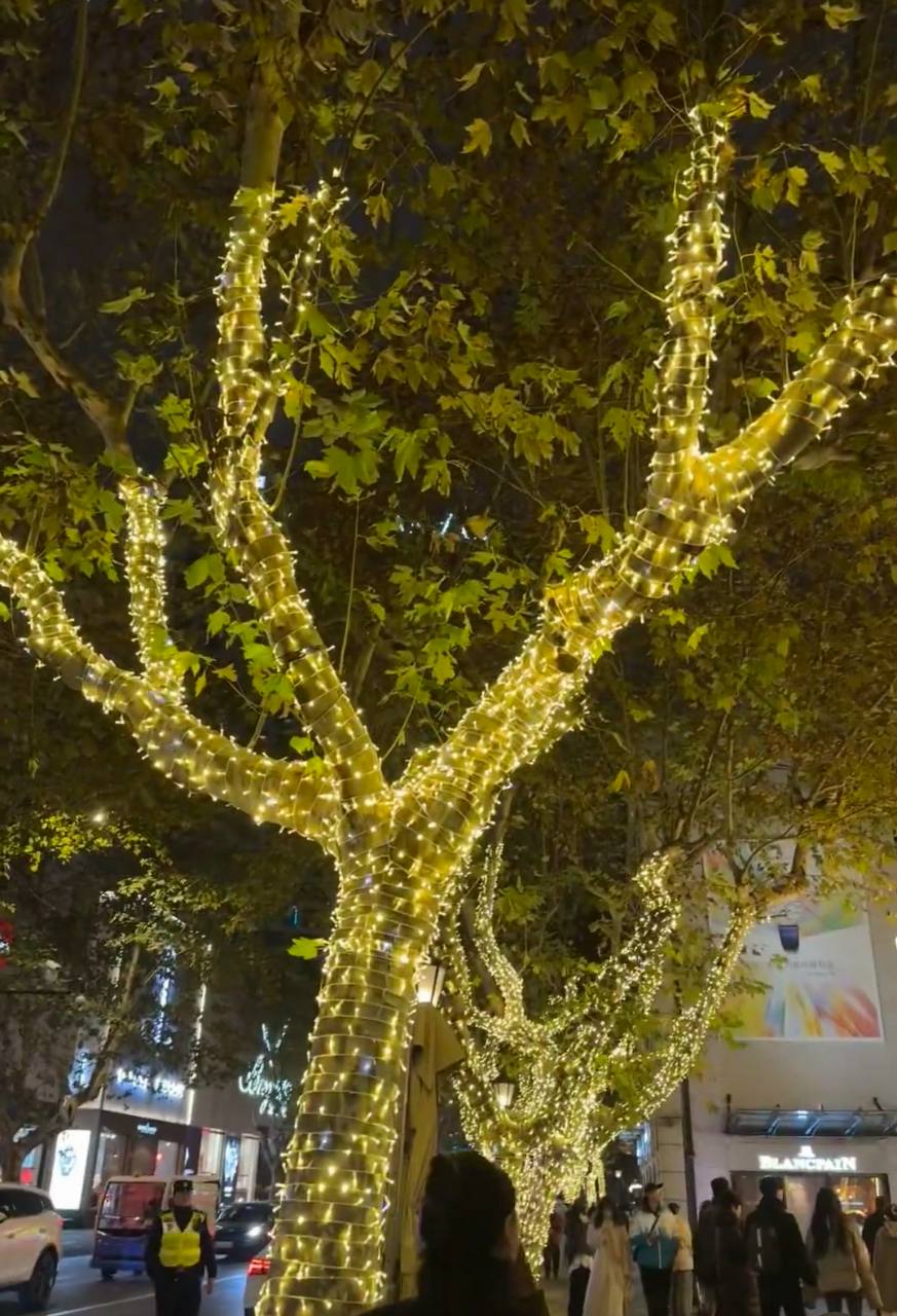 Guirlande lumineuse LED extérieure étanche